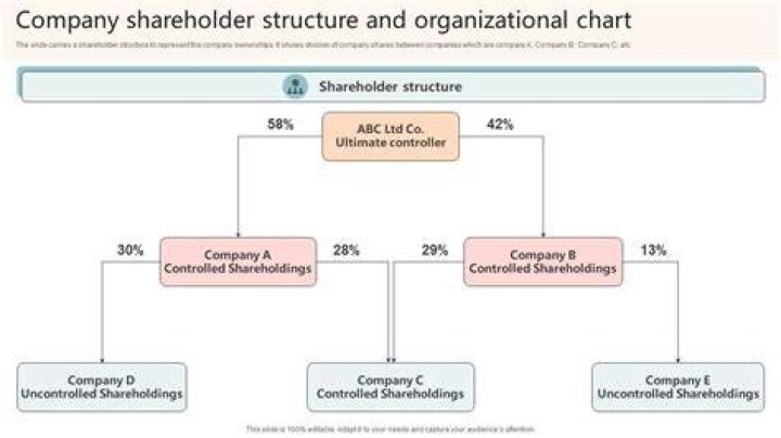 Are earnings distributed to shareholders by a corporation?