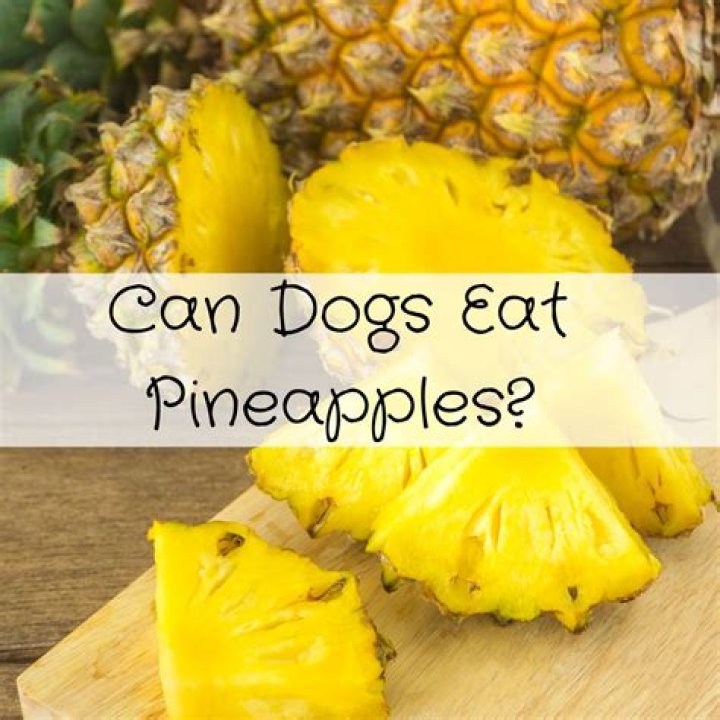 Can you eat a pineapple with seeds?