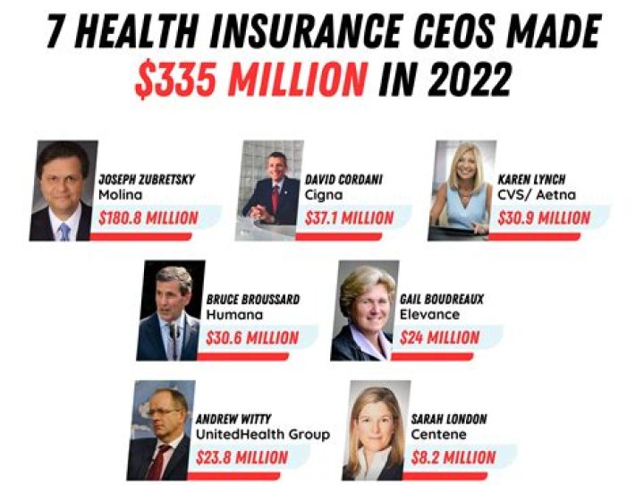 Can you look up CEO salaries?