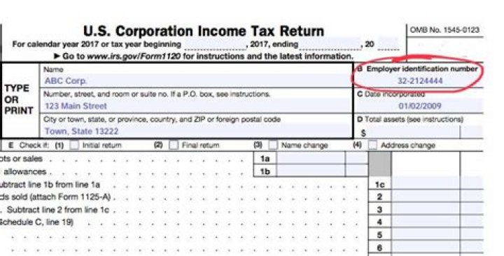 Can you look up Employer Identification Numbers?