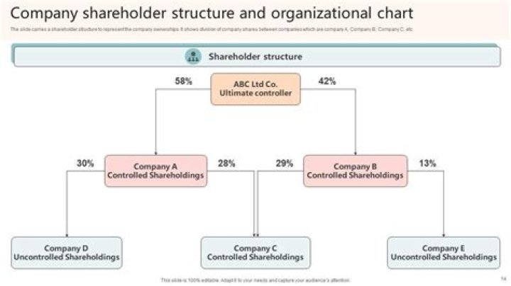 Do shareholders have control over a company?