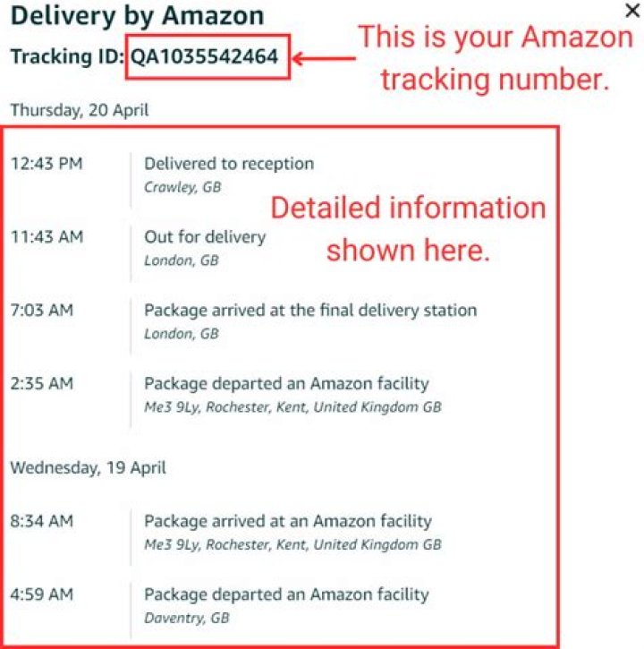Does Amazon come through mail or UPS?