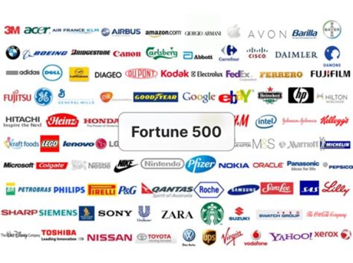 Does Fortune 500 include international companies?