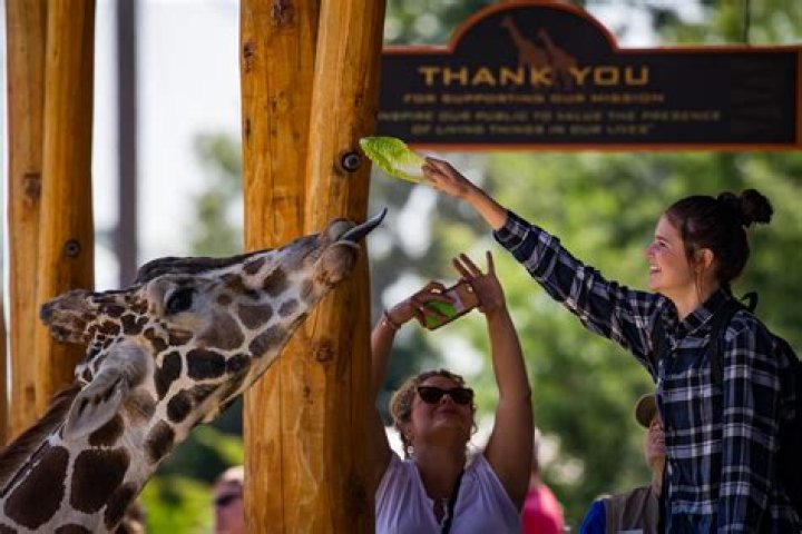 Does Knoxville Zoo have military discount?