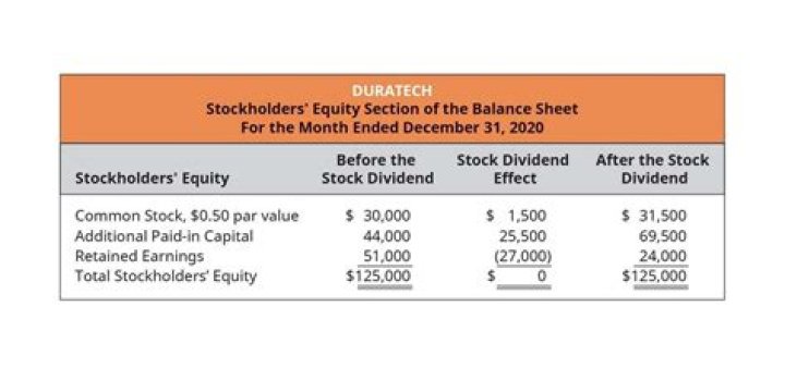 Does net loss affect stockholder equity?