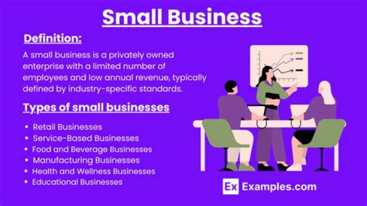 How are small businesses defined what is the nature of business?