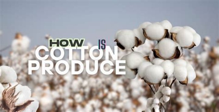 How cotton is produced?