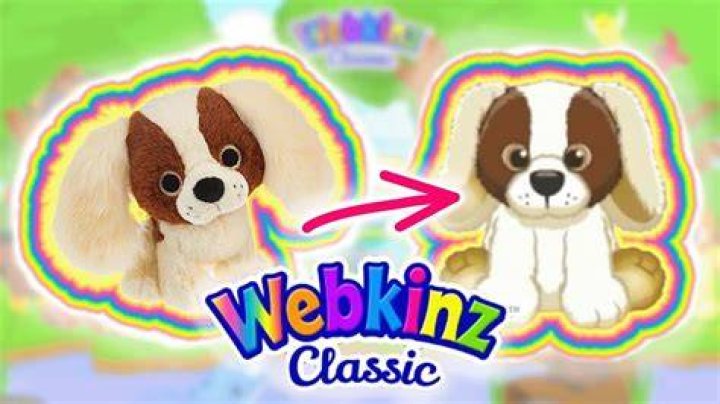 How do I email Webkinz?