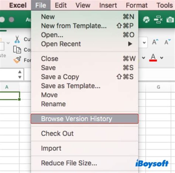 How do I track Excel history?