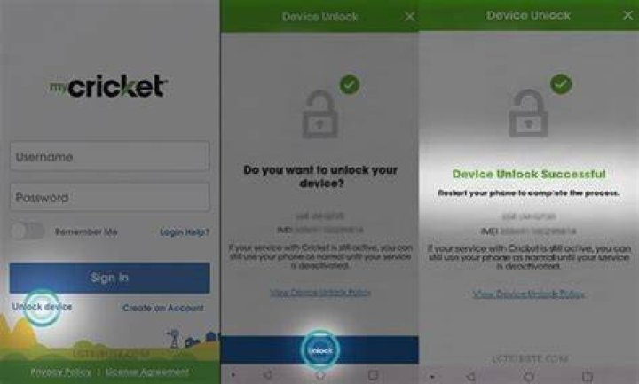 How do I unlock my service account?