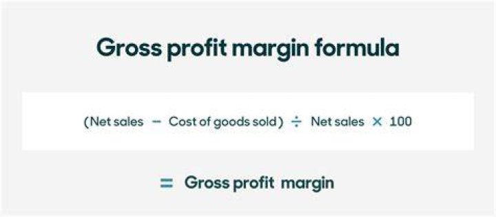 How do you calculate gross profit margin when there is a loss?