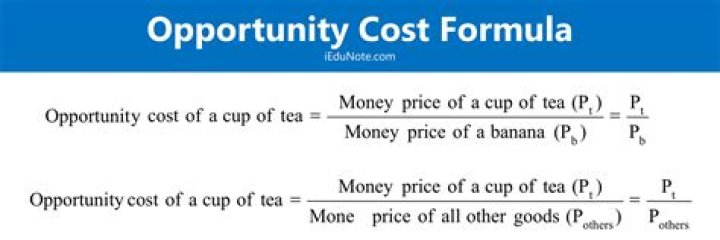 How do you calculate opportunity cost examples?