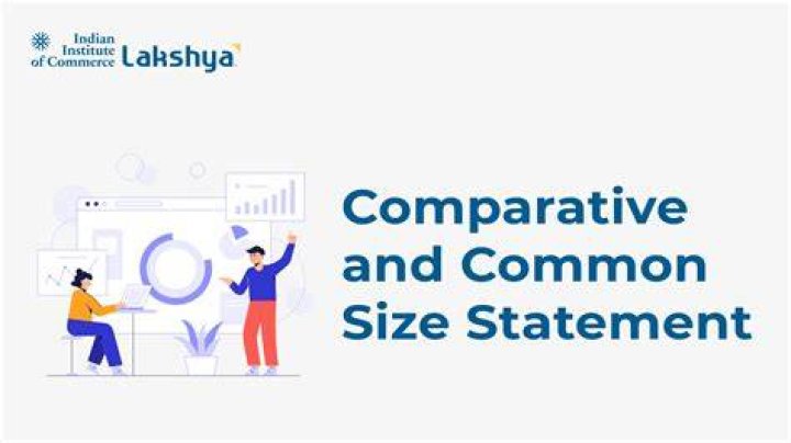 How do you do a common size analysis?