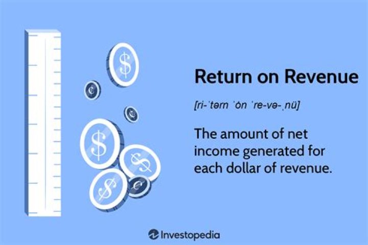 How do you interpret return on revenue?