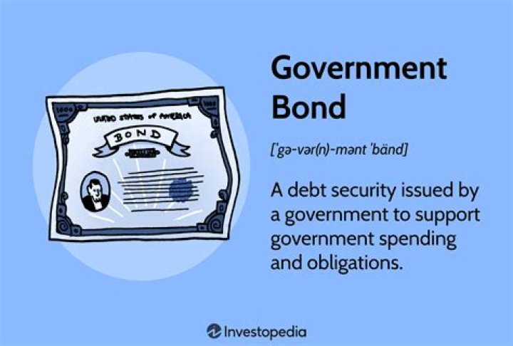 How do you record a government bond?