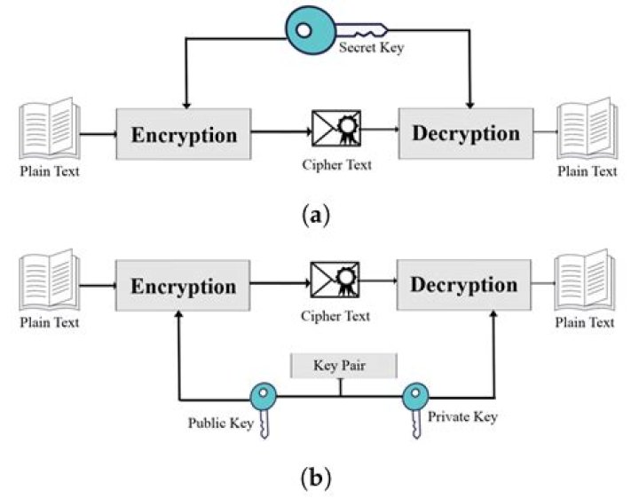 How does cryptography help in securing online transactions?