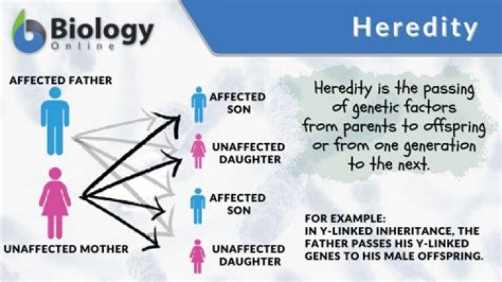 How does heredity affect skills?