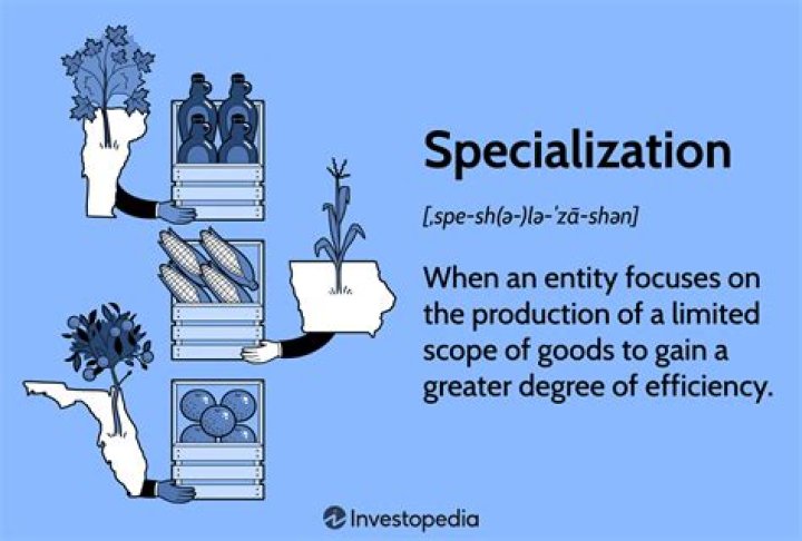 How does specialization affect an economy more efficient?