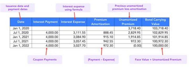 How does the amortization of the premium or discount affect the interest rate of the bond?