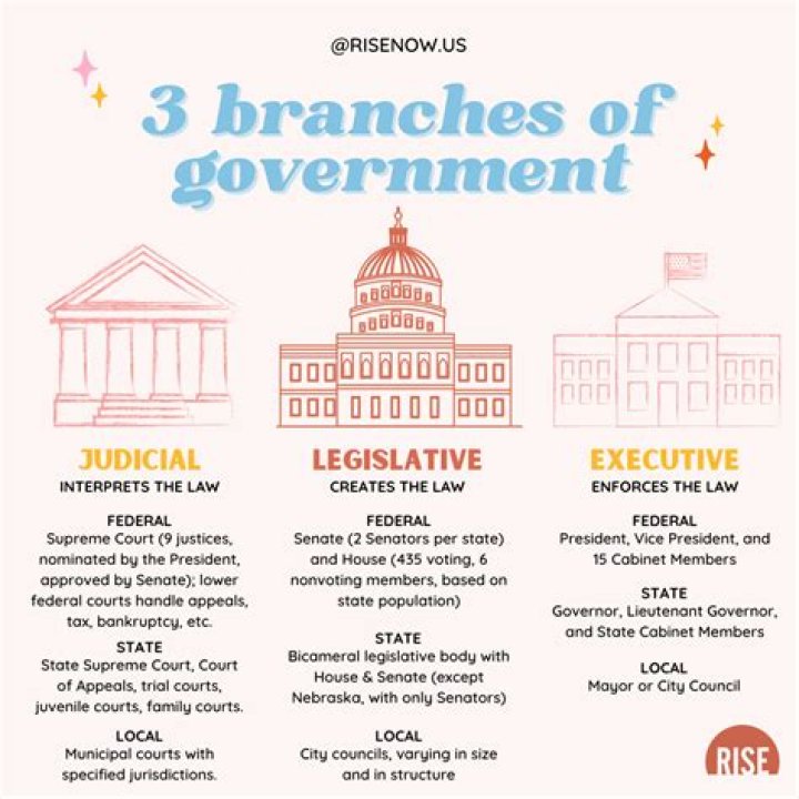 How does the government have an effect on businesses?