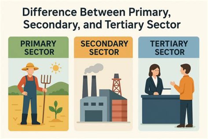 How has the tertiary sector growing?