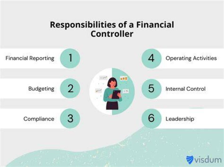 How important is a financial controller in an organization?