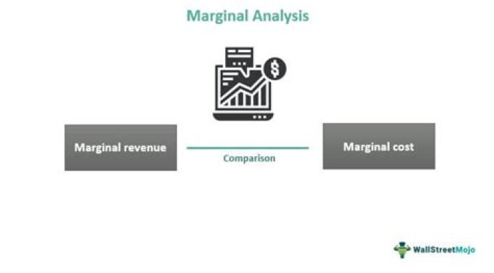 How important is marginal analysis?