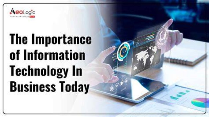 How information technology has impact in a business organization?