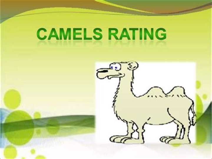 How is camel rating calculated?