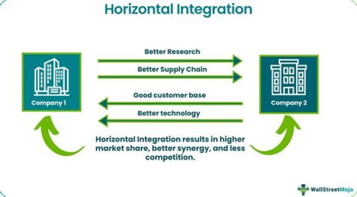 How is horizontal integration used to maximize business profits?