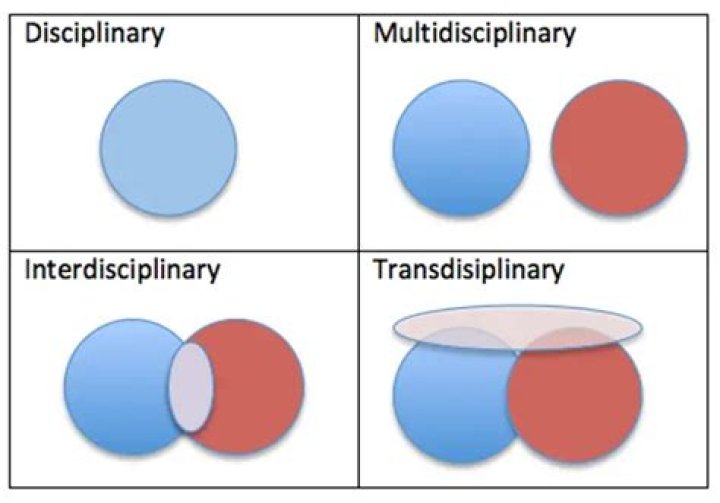 How is multidisciplinarity different from interdisciplinarity?