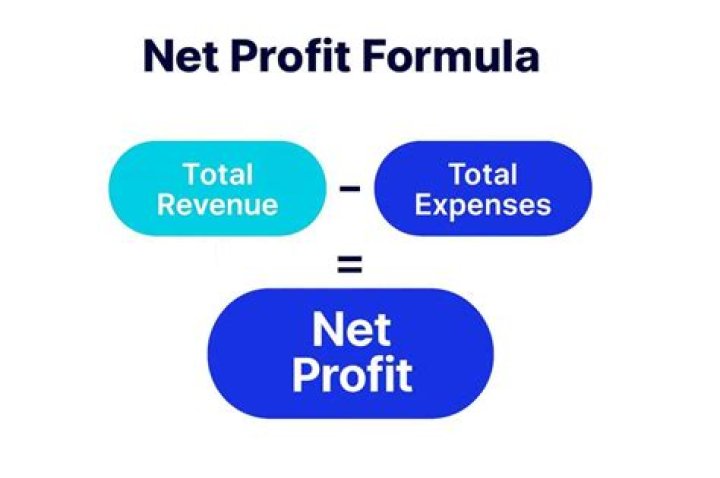 How is net profit and net loss reflected?