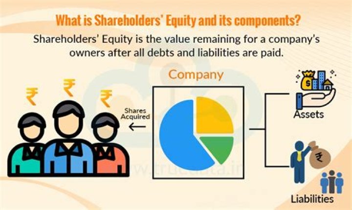 How is shareholder equity calculated?