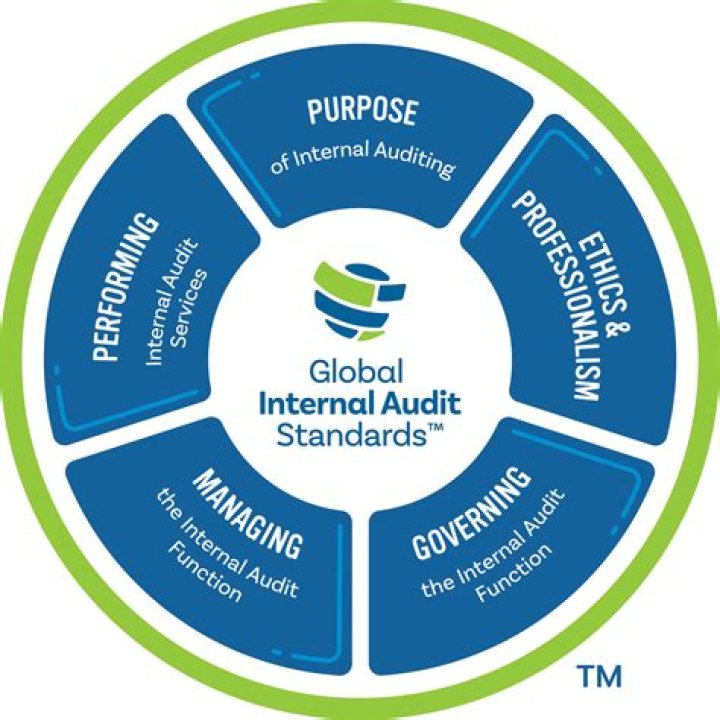 How many auditing standards are there?
