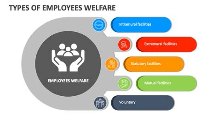 How many concepts of labor welfare are there?