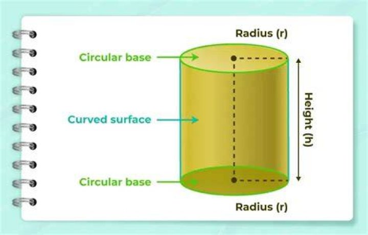 How many curves does cylinder have?