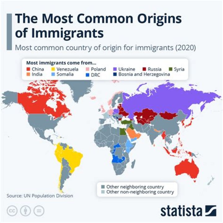 How many Irish immigrants are there?