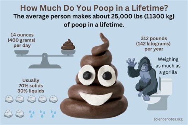 How many tons of poop does a human produce in a lifetime?