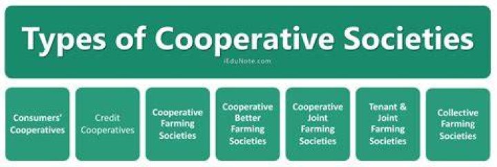 How many types of cooperative are there?