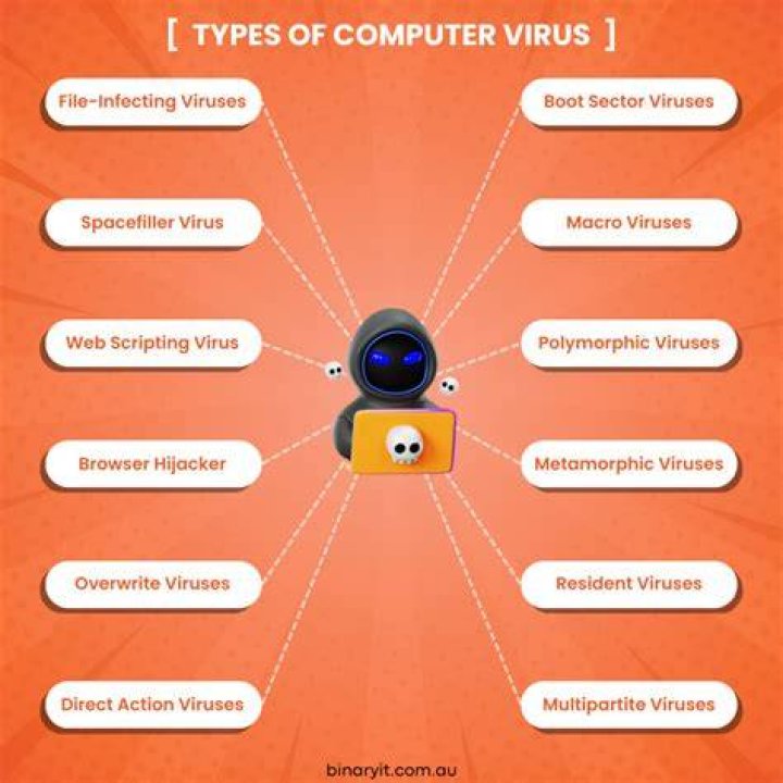 How many types of Internet viruses are there?