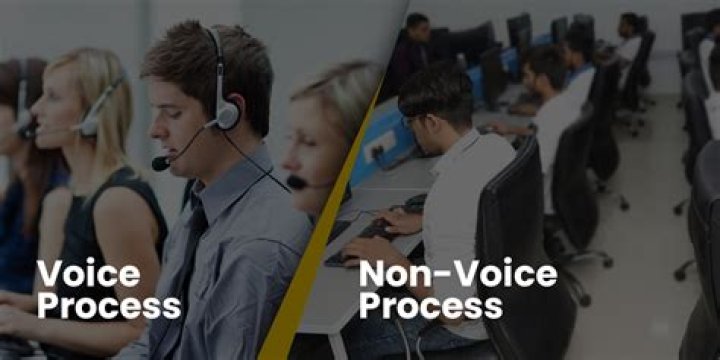 How many types of non voice processes are there?
