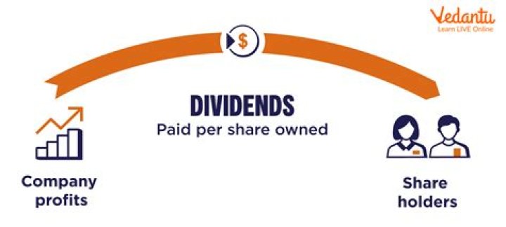 How much dividend do you get per share?