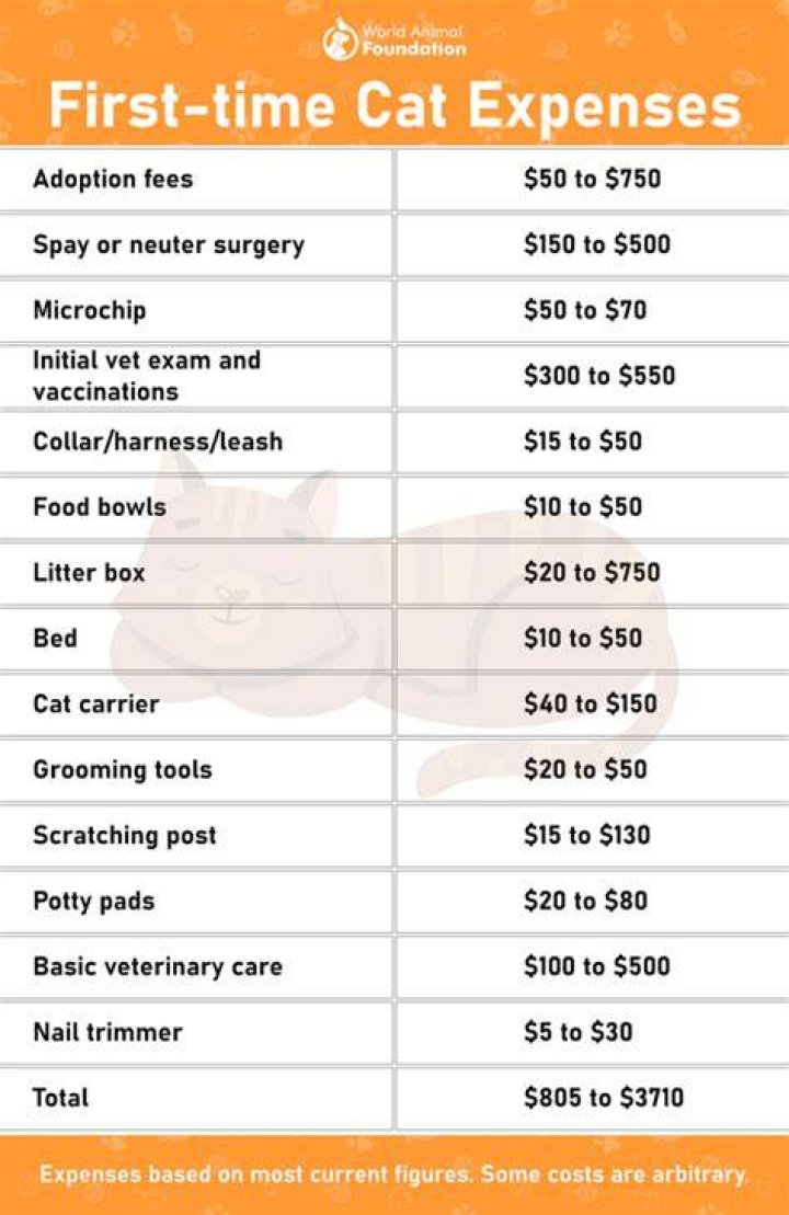 How much does a Firefox cost?