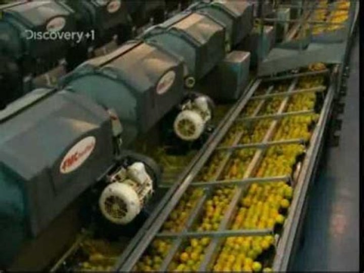 How orange juice is processed?