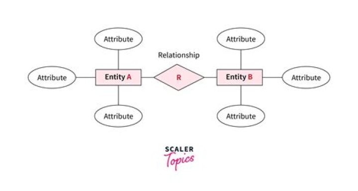 In which form of entity A owner can be customer at the same time?