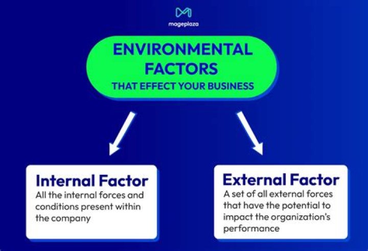 Is an internal environmental factors affecting business?