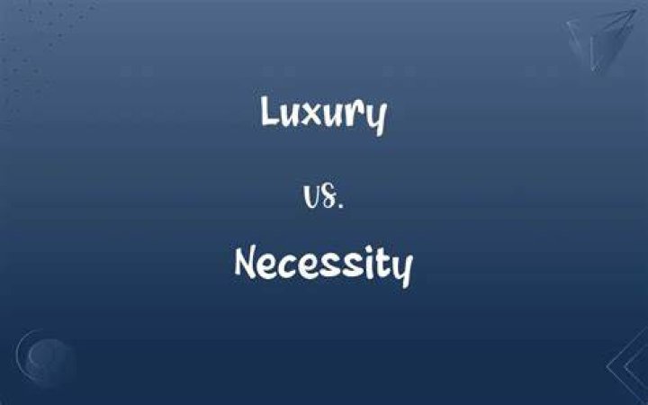Is auditing a luxury or necessity?