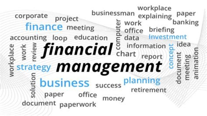 Is business finance and financial management same?