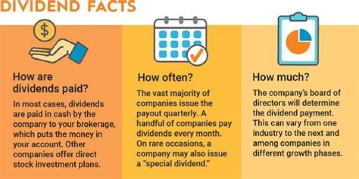 Is dividend on shares paid annually?