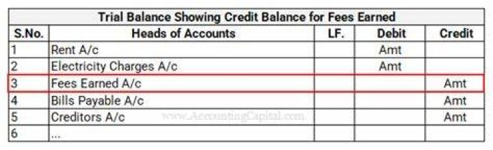 Is fees earned a debit or credit?